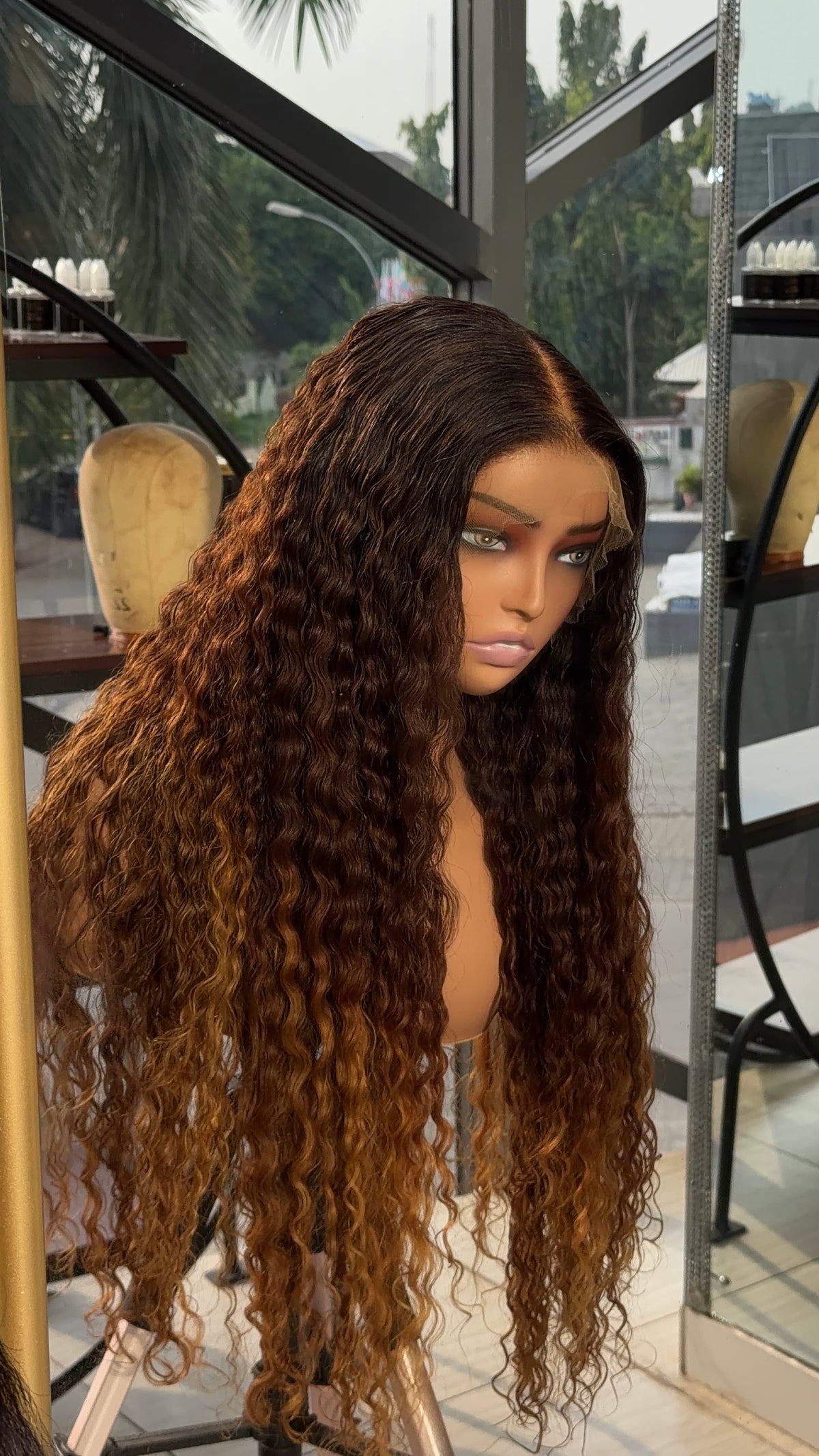 Brown with blonde tips Burmese curly