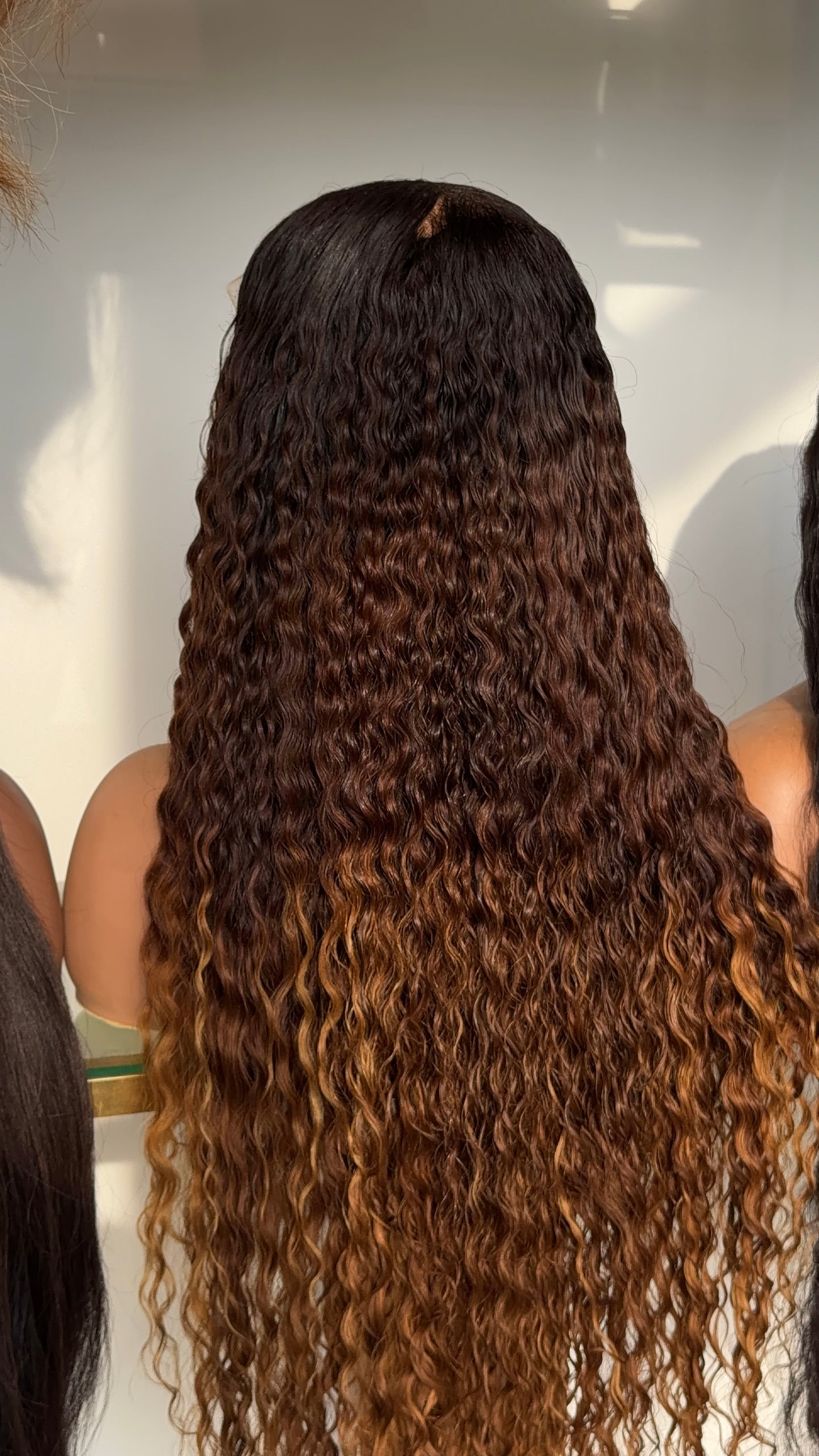 Brown with blonde tips Burmese curly