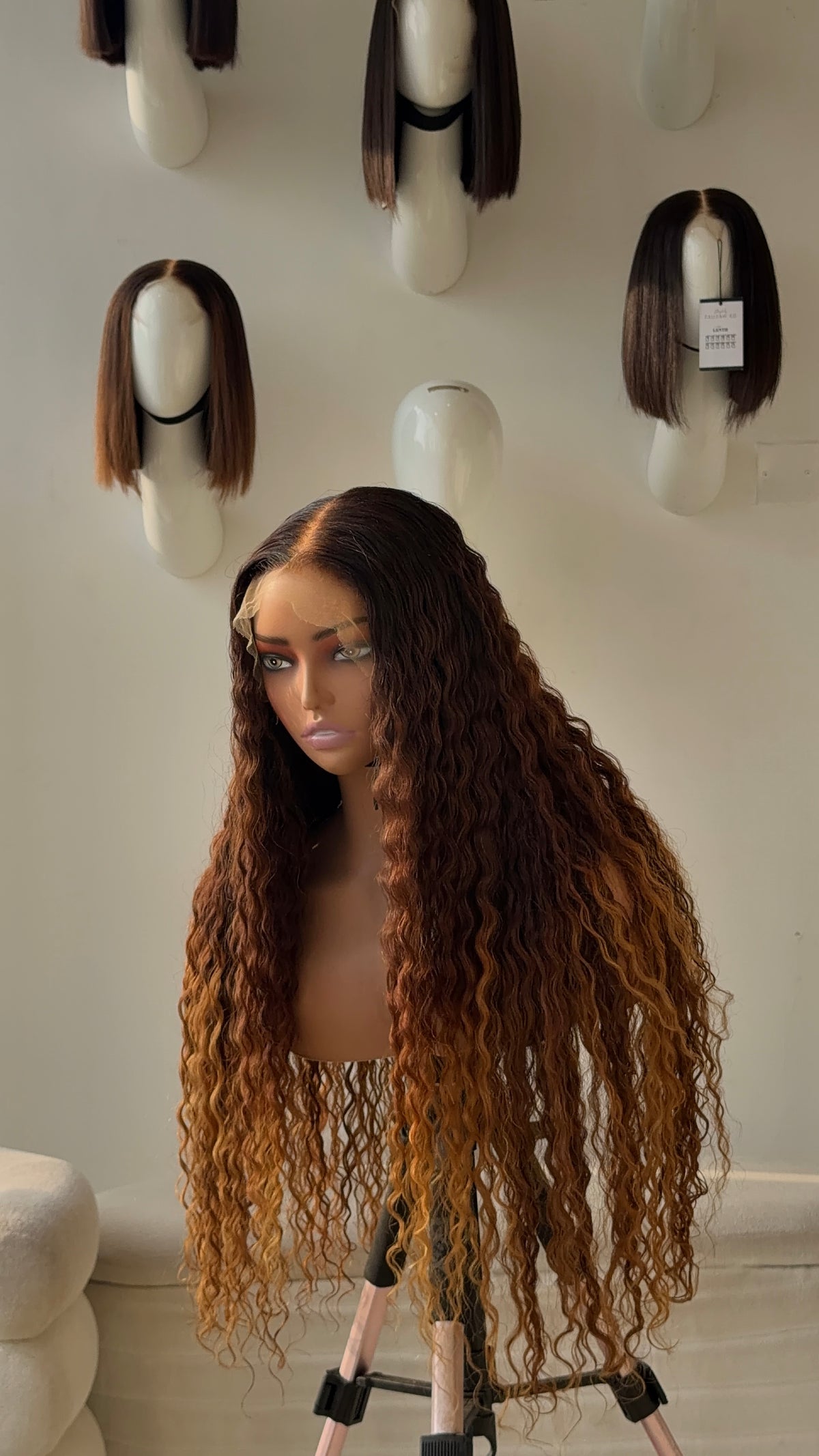 Brown with blonde tips Burmese curly