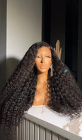 Burmese curly